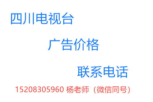 四川成都新春电视广告川台电视广告部